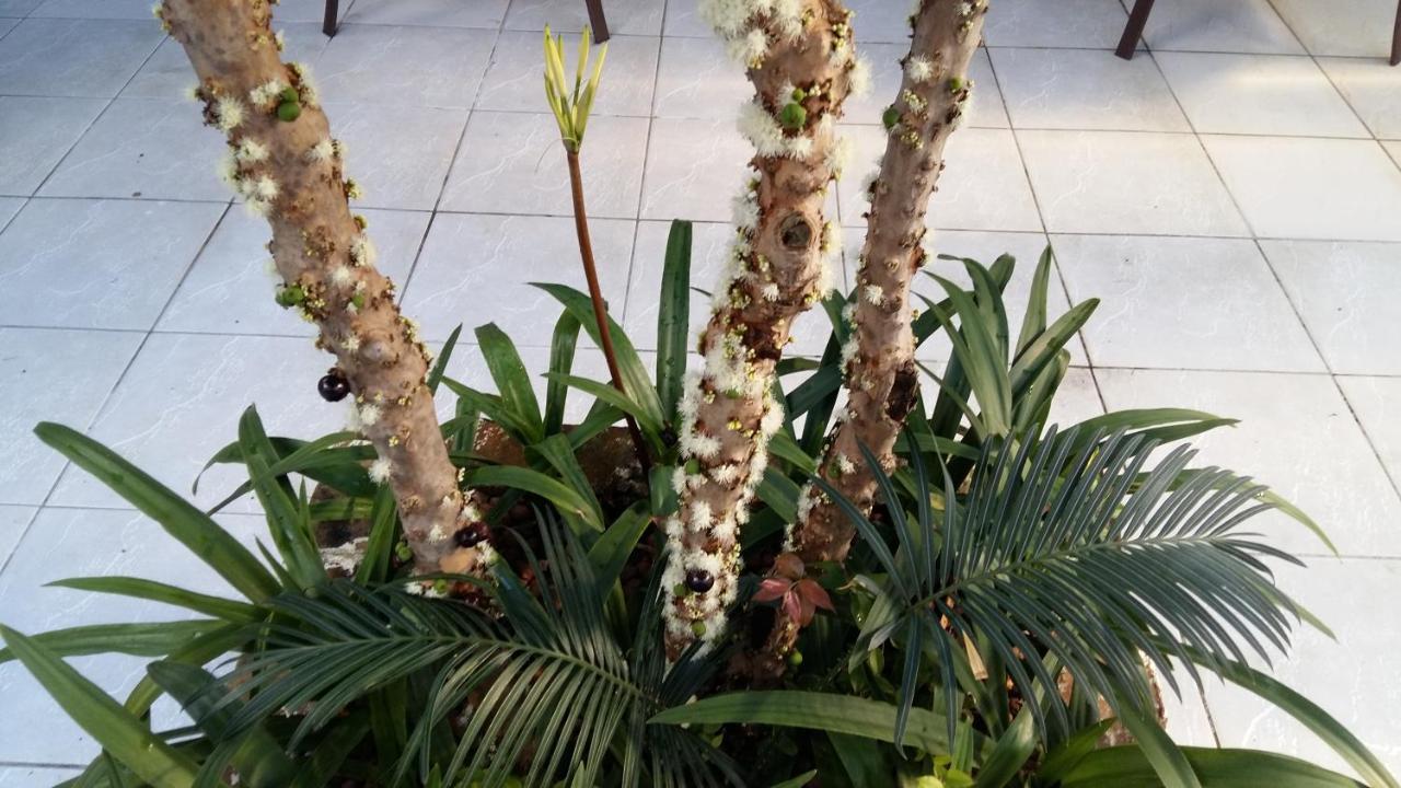 Hostel Pajucara Maceió 外观 照片