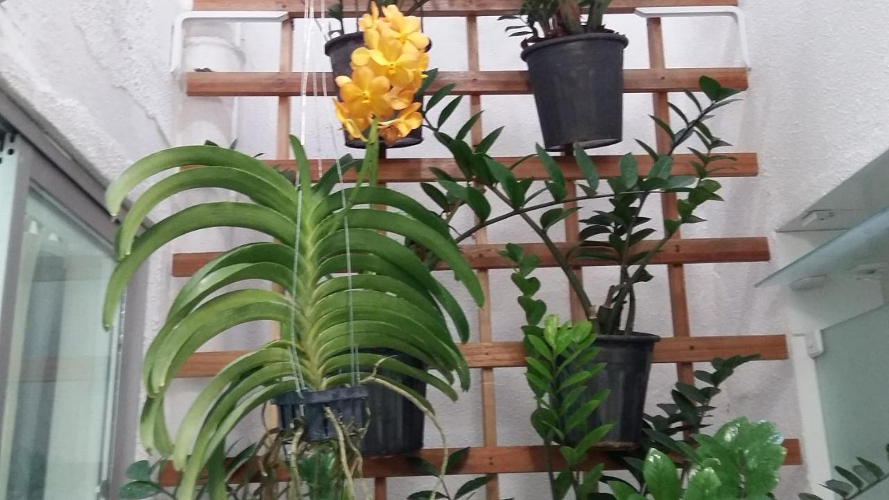 Hostel Pajucara Maceió 外观 照片